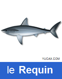 el tiburón en francés