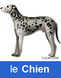el perro en francés