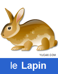 el conejo en francés