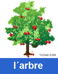 árbol en francés